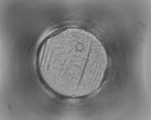 X0000115060150200911231222