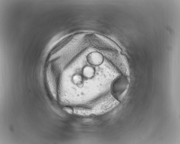 X0000115060151200911231222