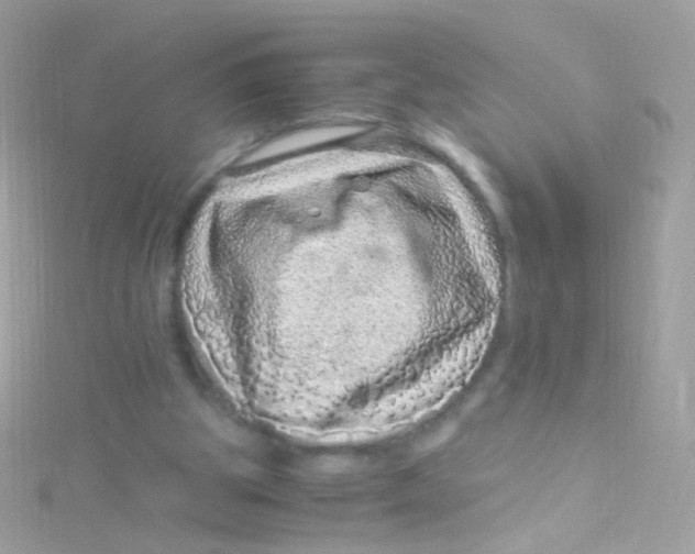 X0000115060153200911231222