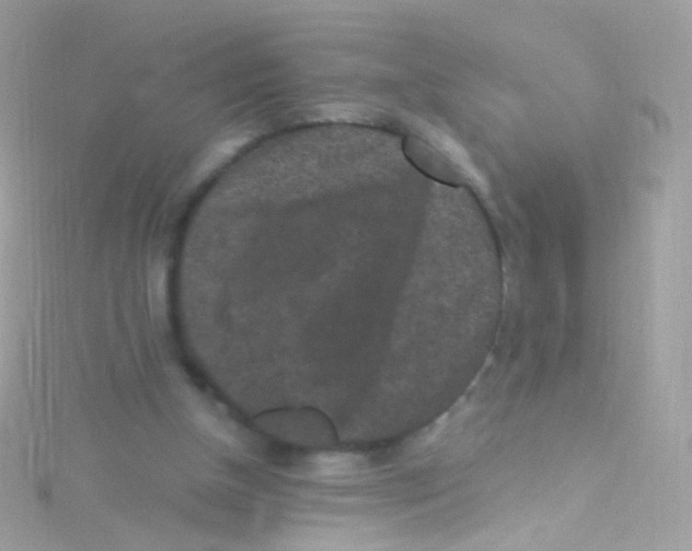 X0000115060154200911231222