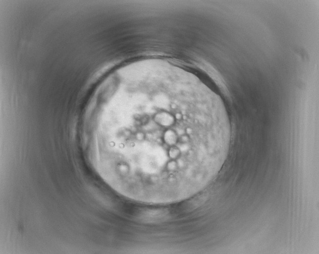 X0000115060155200911231222