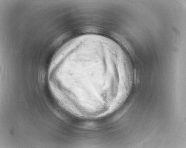 X0000115060157200911231222