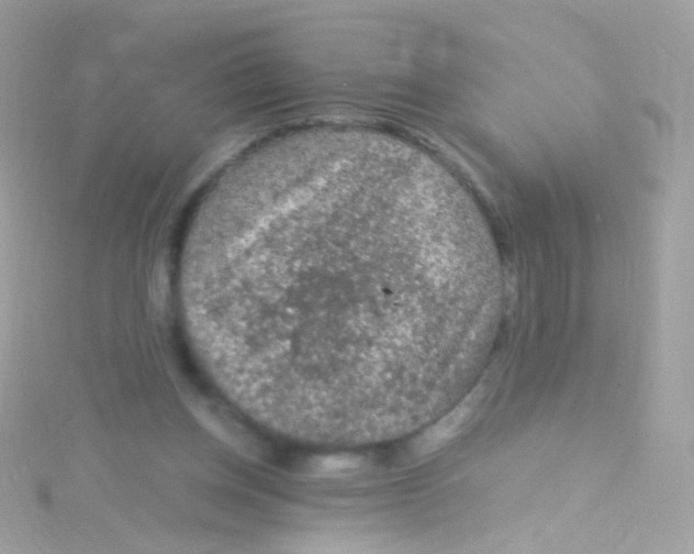 X0000115060158200911231222