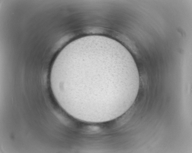 X0000115060159200911231222