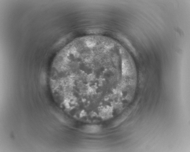 X0000115060161200911231222