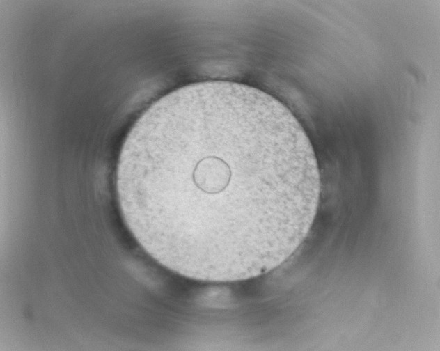 X0000115060162200911231222