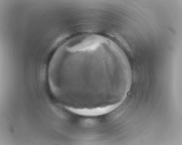 X0000115060163200911231222