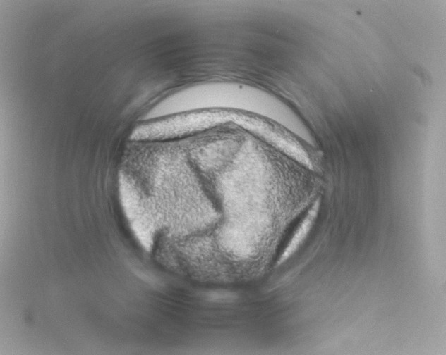 X0000115060165200911231222