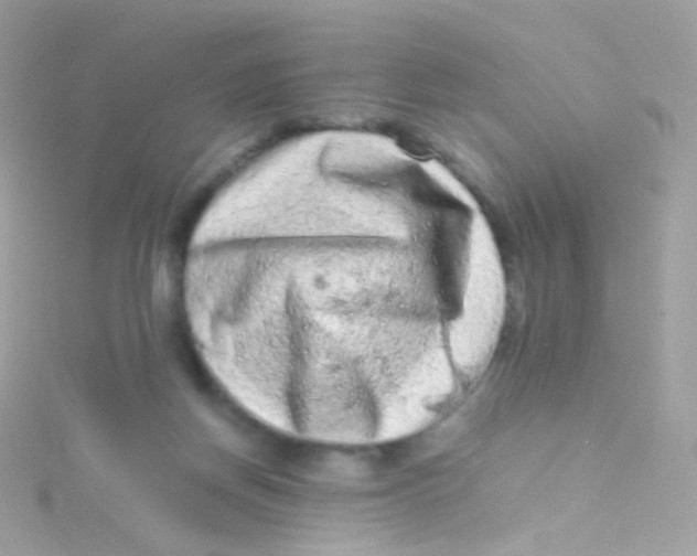 X0000115060166200911231222