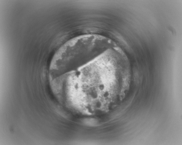 X0000115060169200911231222