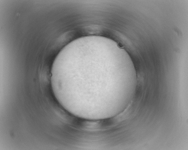 X0000115060170200911231222