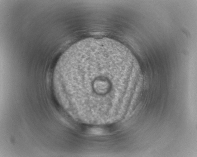 X0000115060171200911231222