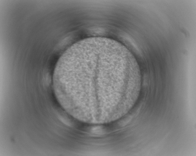 X0000115060173200911231222