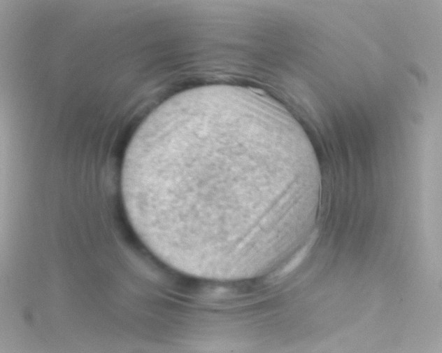 X0000115060174200911231222