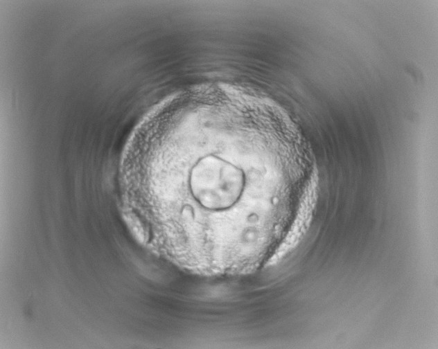 X0000115060175200911231222