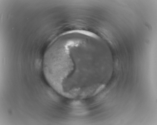 X0000115060177200911231222