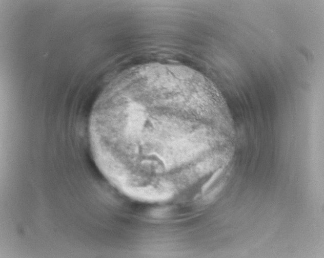 X0000115060178200911231222