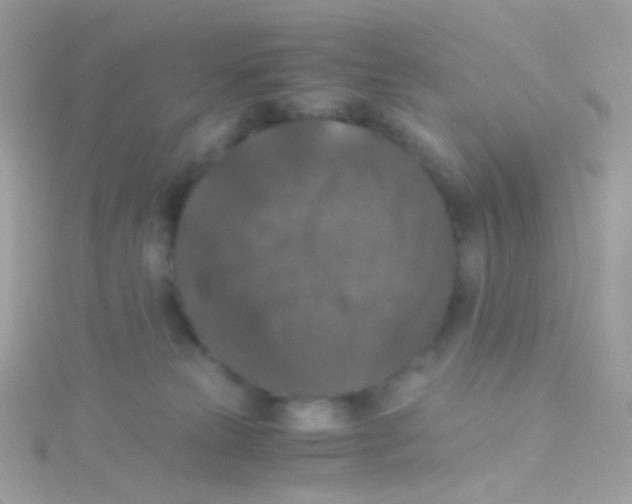 X0000115060181200911231222