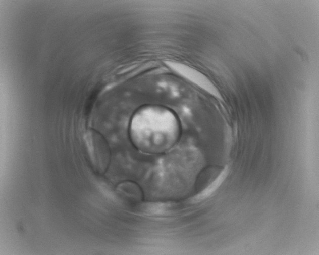 X0000115060182200911231222