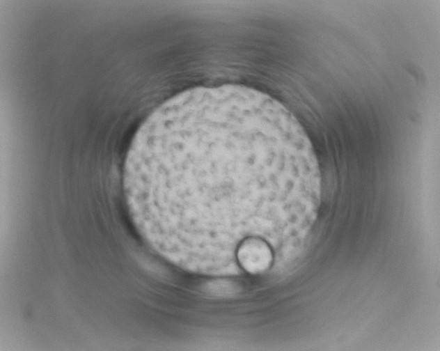 X0000115060183200911231222