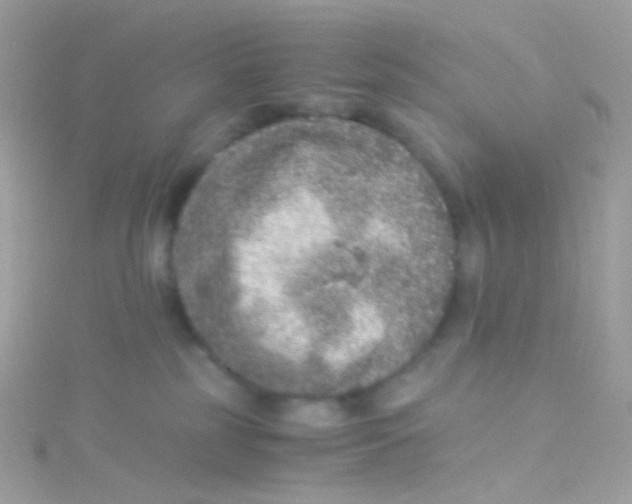 X0000115060185200911231222