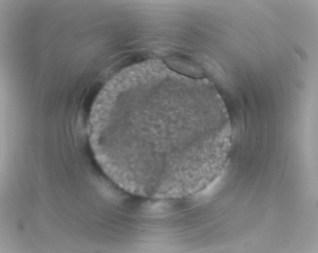 X0000115060186200911231222