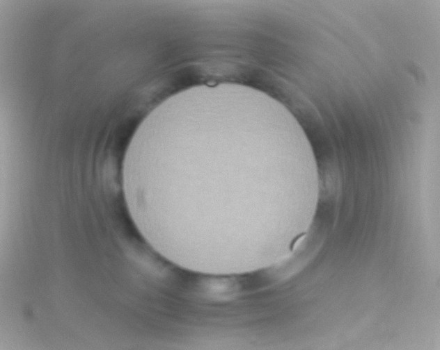 X0000115060187200911231222