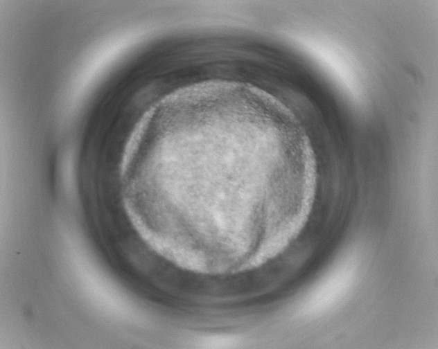 X0000115060189200911231223