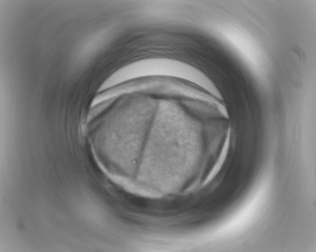 X0000115060190200911231223