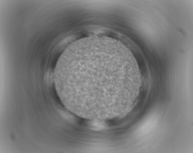 X0000115060191200911231223