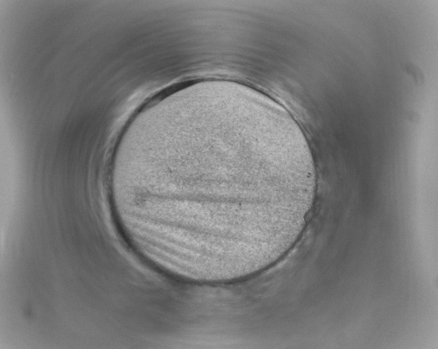 X0000115060193200911231222