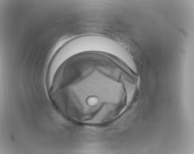 X0000115060195200911231222