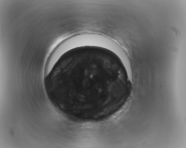 X0000115060196200911231222