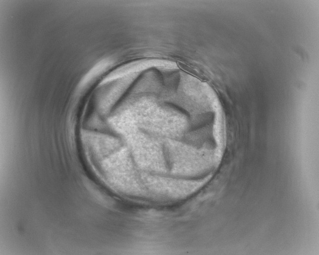 X0000115060197200911231222