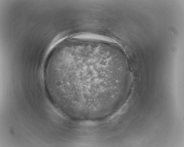 X0000115060198200911231222