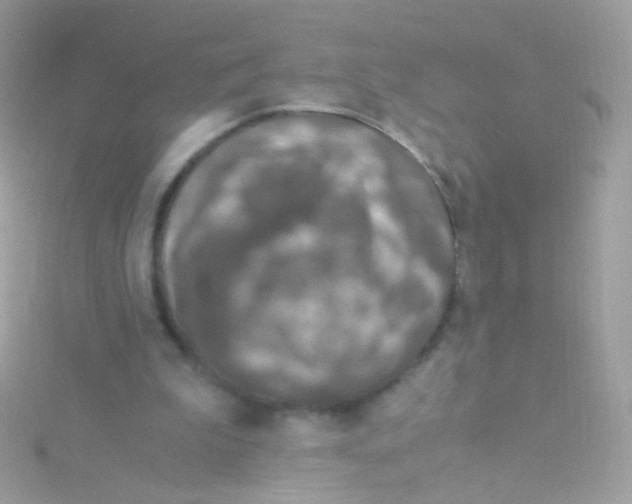 X0000115060199200911231222