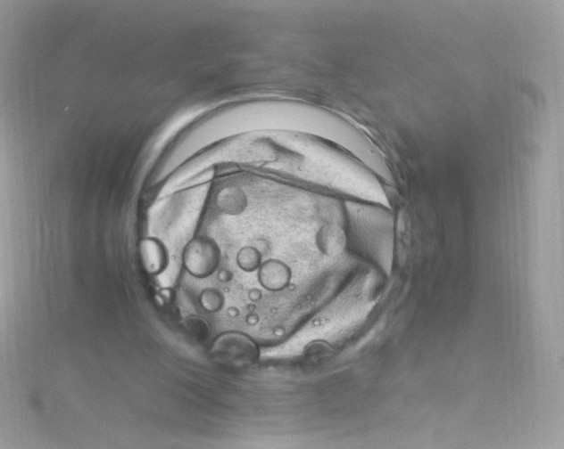 X0000115060200200911231222