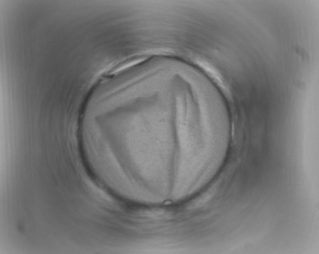 X0000115060201200911231222