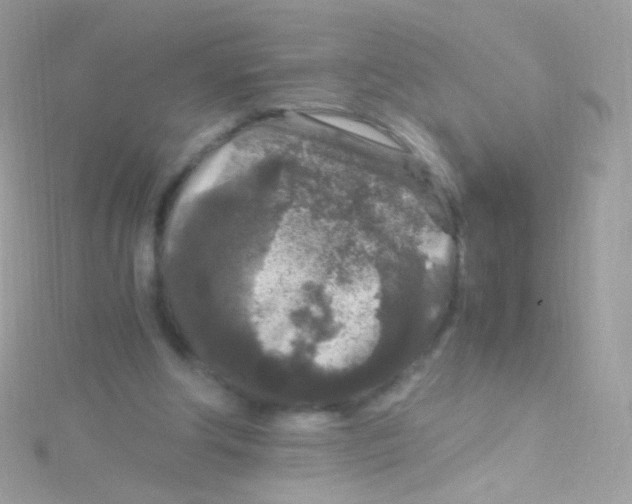 X0000115060202200911231222