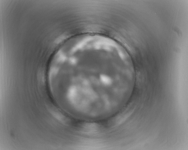 X0000115060203200911231222