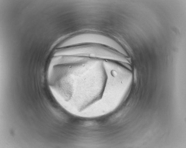 X0000115060204200911231222