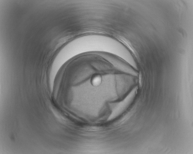 X0000115060205200911231222