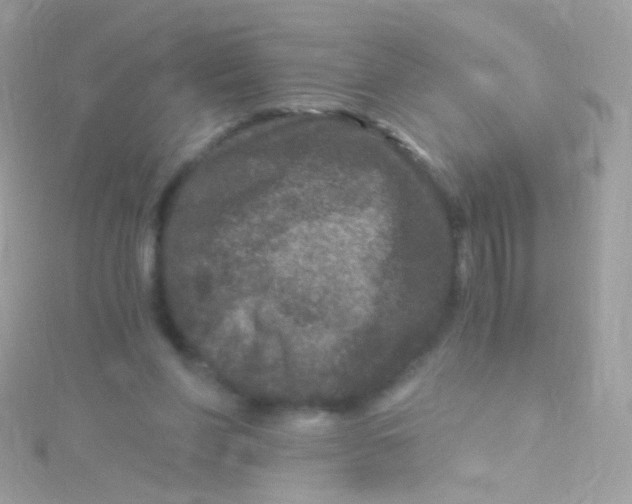 X0000115060206200911231222