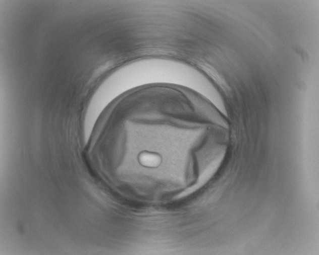 X0000115060207200911231222