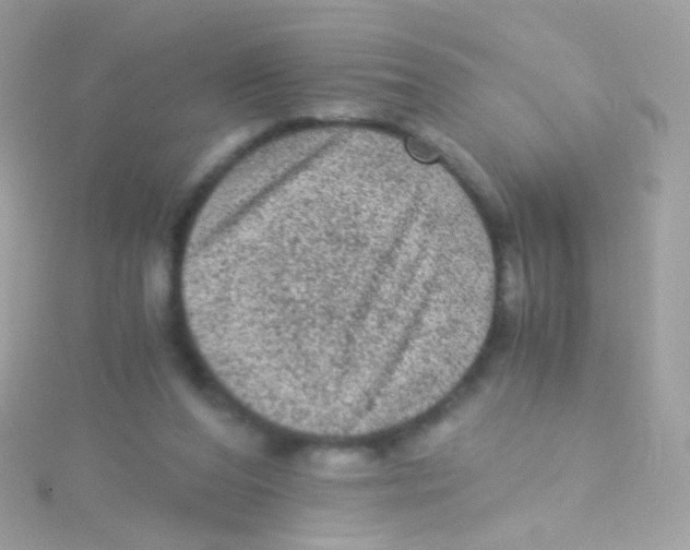 X0000115060208200911231222