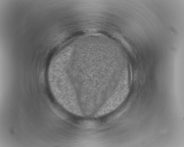 X0000115060209200911231222