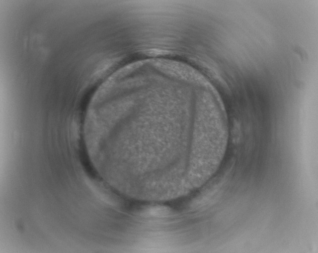 X0000115060210200911231222