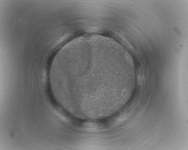 X0000115060211200911231222