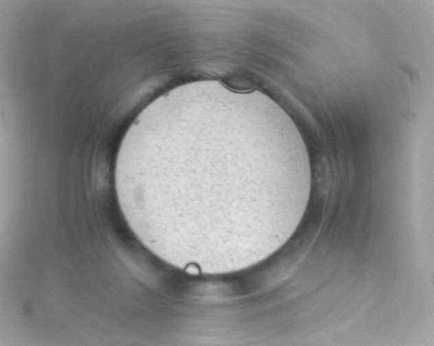 X0000115060212200911231222