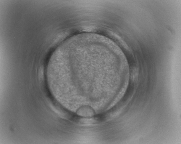 X0000115060213200911231222